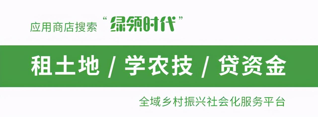 美丽乡村信息技术(苏州联合签约打造韶山数字化乡村治理样板