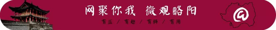 加快推进数字乡村建设促进农业全面升级农村全面进步农民全面发展