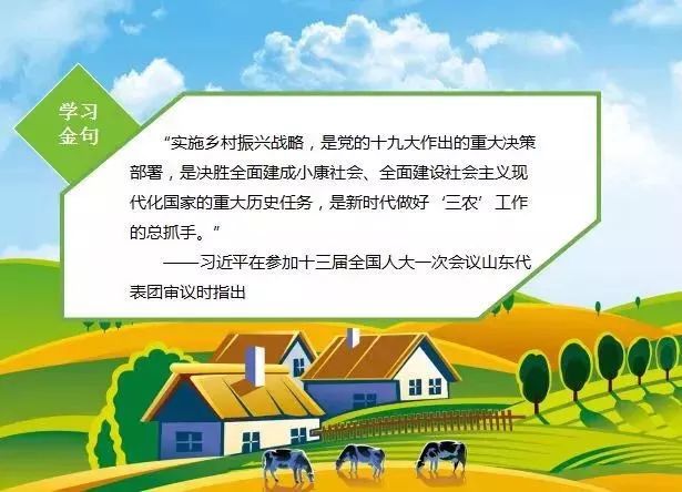 美丽乡村南平新闻九点半_济源新闻美丽乡村_乡村新闻