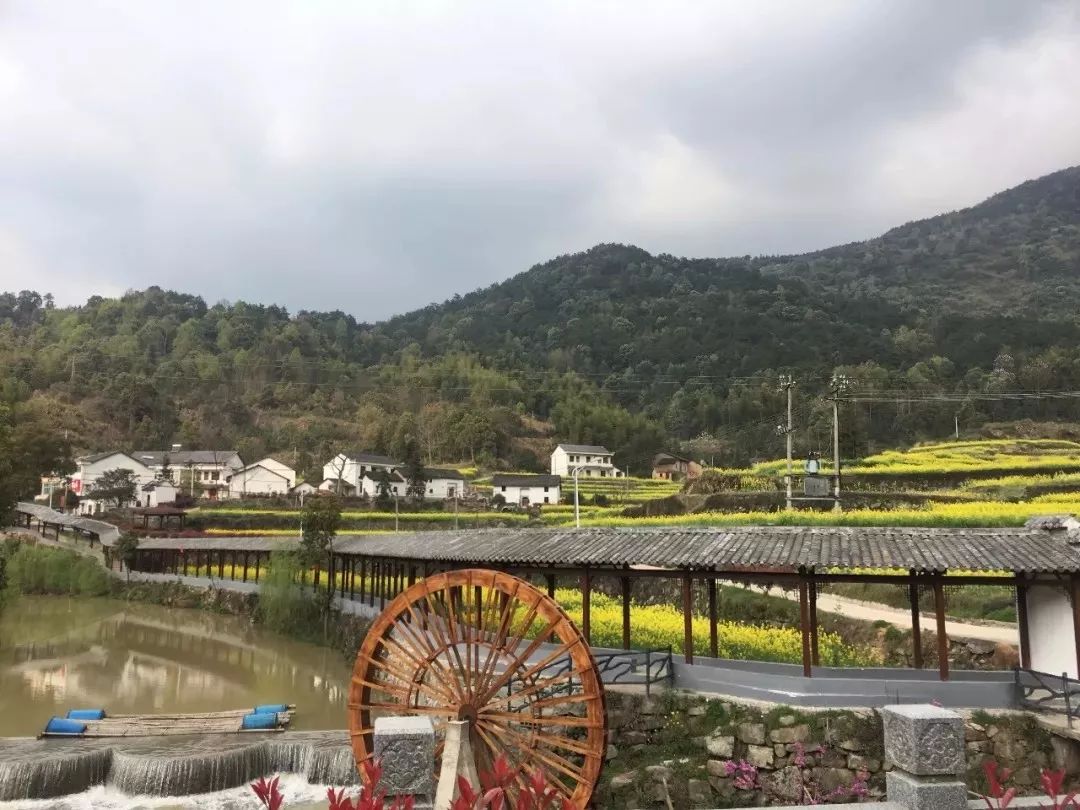 乡村动态_乡村风月乡村神话秋江继母_贵州乡村贵州乡村贵州乡村好货源