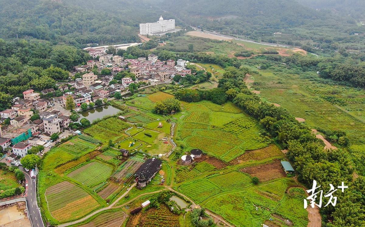 感悟农村新建设作文作文库_新农村建设_仁怀市人民政府2009年农村沼气池建设工作意见