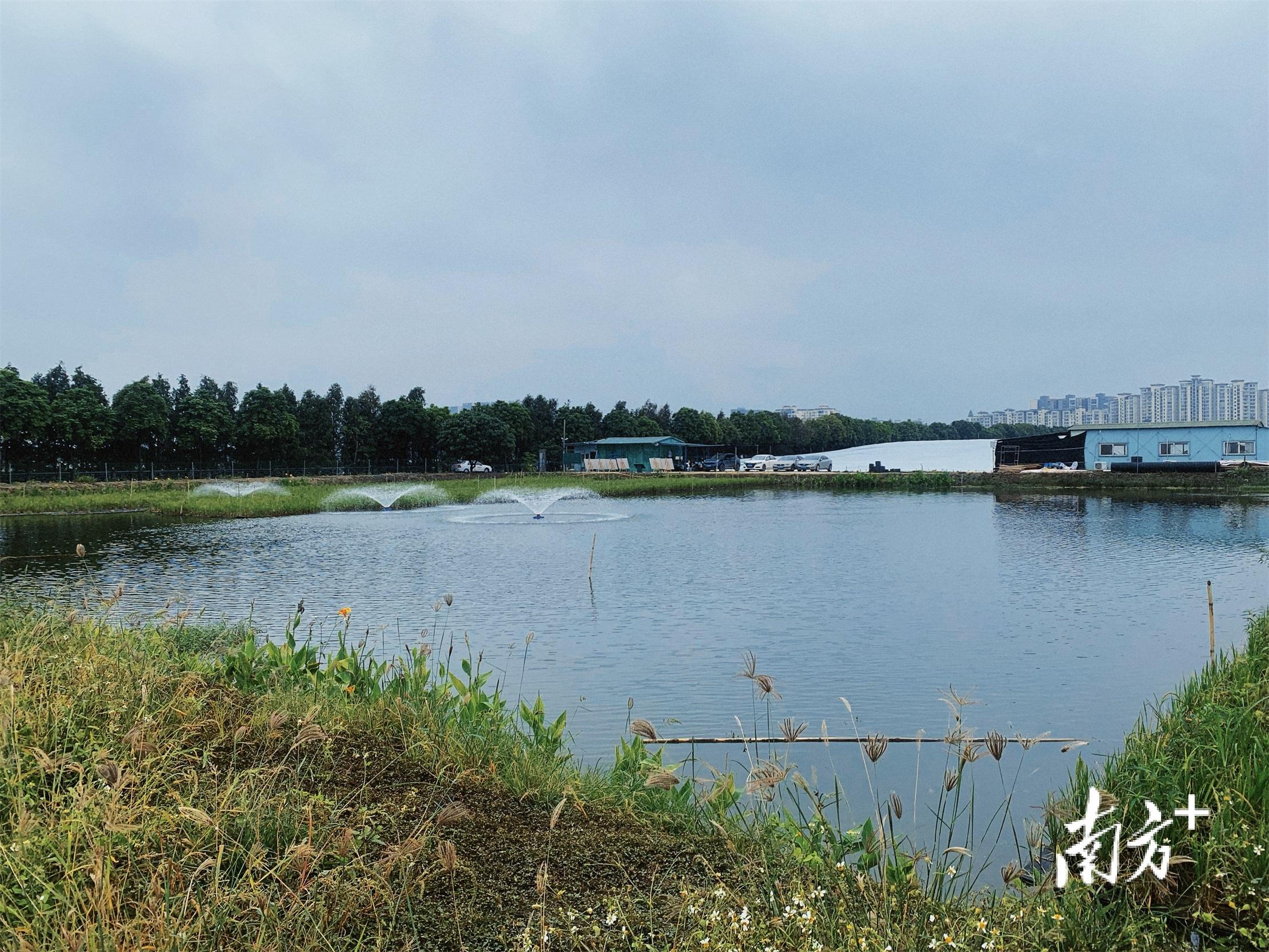 仁怀市人民政府2009年农村沼气池建设工作意见_感悟农村新建设作文作文库_新农村建设