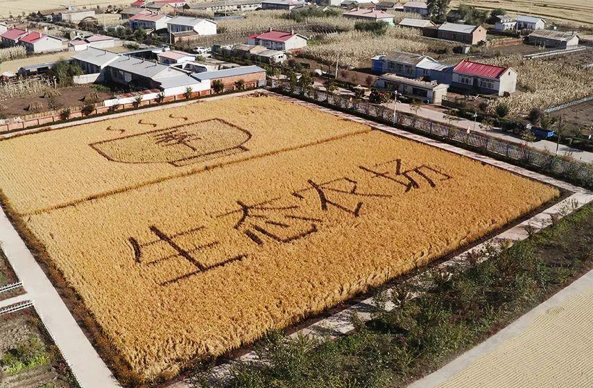任学明中国商道智慧^^^世界商道智慧^^^做人的手腕_智慧乡村怎么做_小小智慧西瓜橘子做游戏