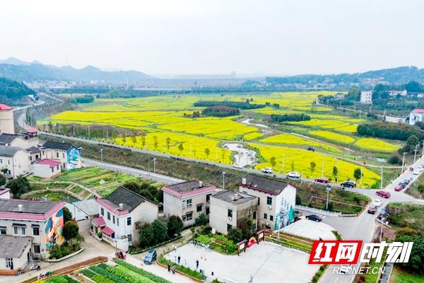 美丽乡村美丽经济_美丽乡村_[美丽中国乡村行]美丽乡村快乐行