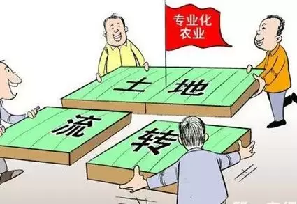 农村土地流转遇到的难题怎么办？如何从土地中掘金