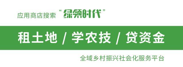 土地流转_流转土地最长多少年_流转土地国家每亩地补贴多少钱