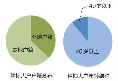 农业数字经济_农业数字孪生_数字农业