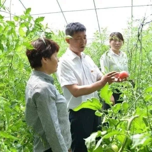 【央媒看瓜州】让乡土人才“破土飘香” 激活乡村振兴“一盘棋”