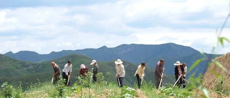 国家乡村振兴局等七部门印发《农民参与乡村建设指南（试行）》