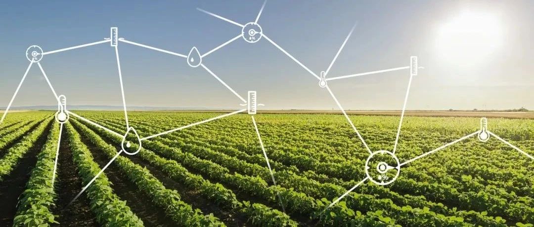 【农业科技】农业大数据下的智慧农业发展