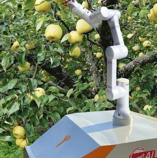 机器人农场绘就智慧农业新图景