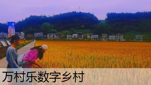 乡村振兴战略治理有效