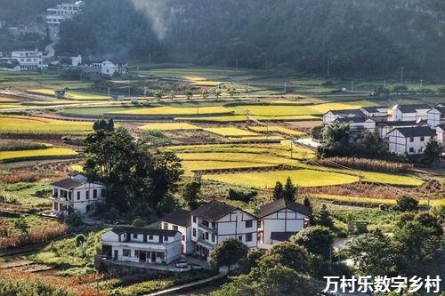 乡村治理的社会基础
