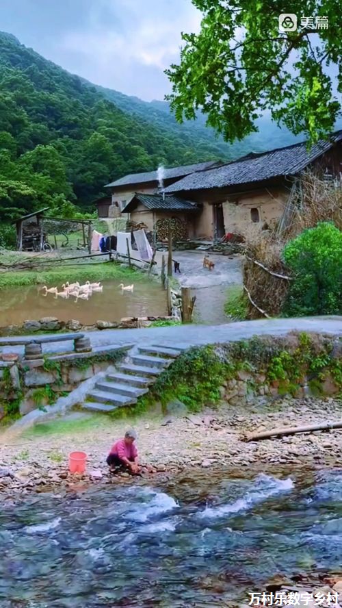 乡村治理的社会基础
