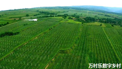 探索乡村治理效能：新时代的挑战与机遇
