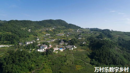 探索乡村治理效能：新时代的挑战与机遇