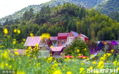数字乡村治理：引领乡村振兴新时代