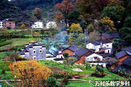 数字乡村治理：引领乡村振兴新时代