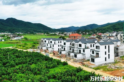智慧乡村治理：新时代的农村振兴之道