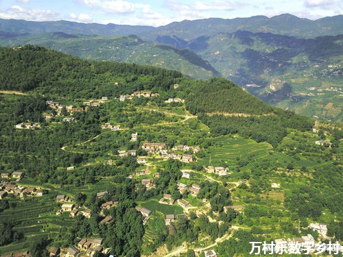 农村面貌改善：策略、案例与未来展望