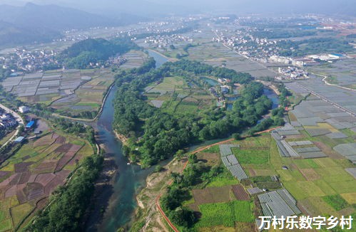 农业机器人在智慧农场的革命性应用：技术解析与未来展望