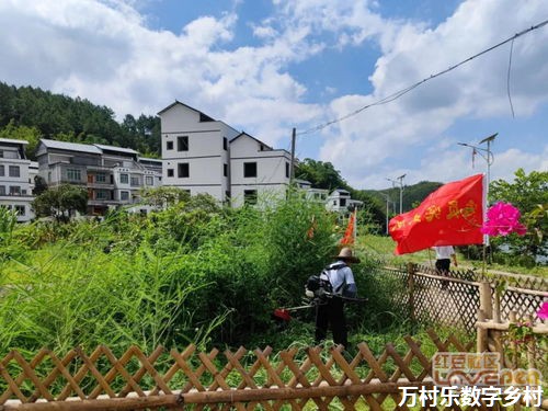 农业机器人在智慧农场的革命性应用：技术解析与未来展望
