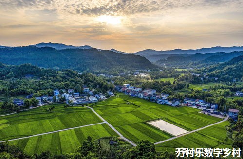 农业机器人在智慧农场的革命性应用：技术解析与未来展望