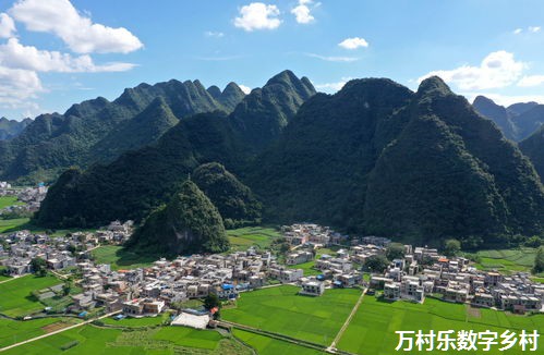 乡村治理能力提升途径：基层组织建设与信息化管理