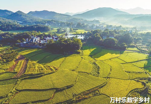 智慧乡村公共安全与防范：构建安全体系与技术应用