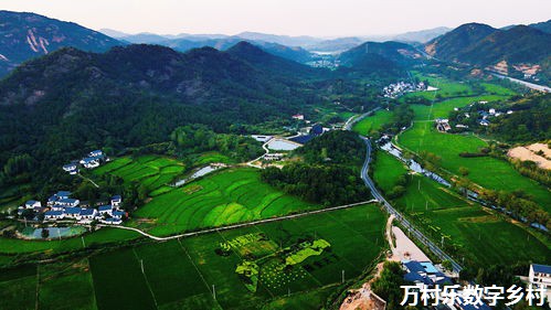 数字乡村智慧社区管理：现状、应用与未来趋势