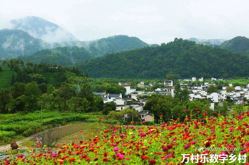 数字乡村智慧社区管理：现状、应用与未来趋势
