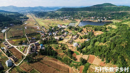 聚焦安徽：架起从科研机构到产业界“桥梁”