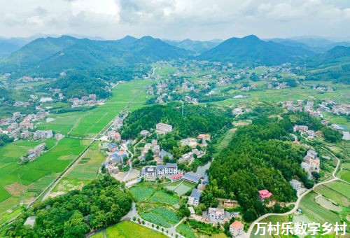 乡村振兴的“金钥匙”，助力培养新时代农村人才