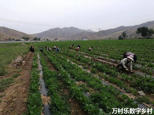 穿越千年丝路 联通数智陇原