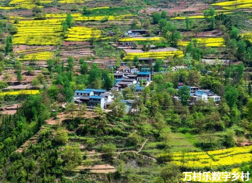 重磅!乡村振兴最新土地政策与拿地要点 重磅!乡村振兴最新土地政策与拿地要点