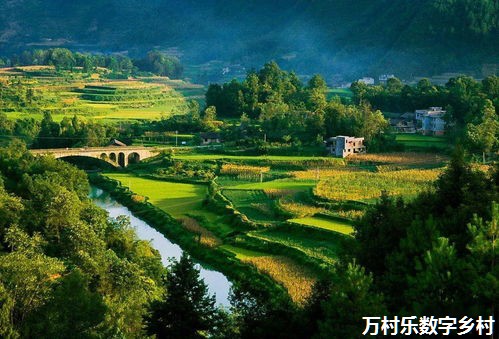 构建新时代乡村治理体系