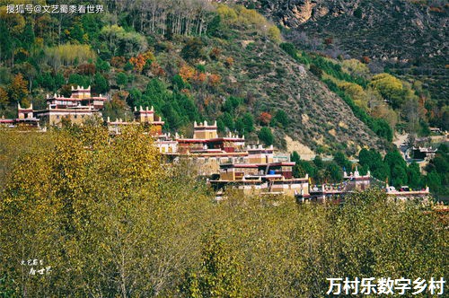 以数字乡村建设助推乡村全面振兴 以数字乡村建设助推乡村全面振兴