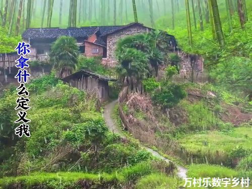 以数字乡村建设助推乡村全面振兴 以数字乡村建设助推乡村全面振兴
