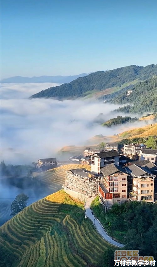 以数字乡村建设助推乡村全面振兴 以数字乡村建设助推乡村全面振兴