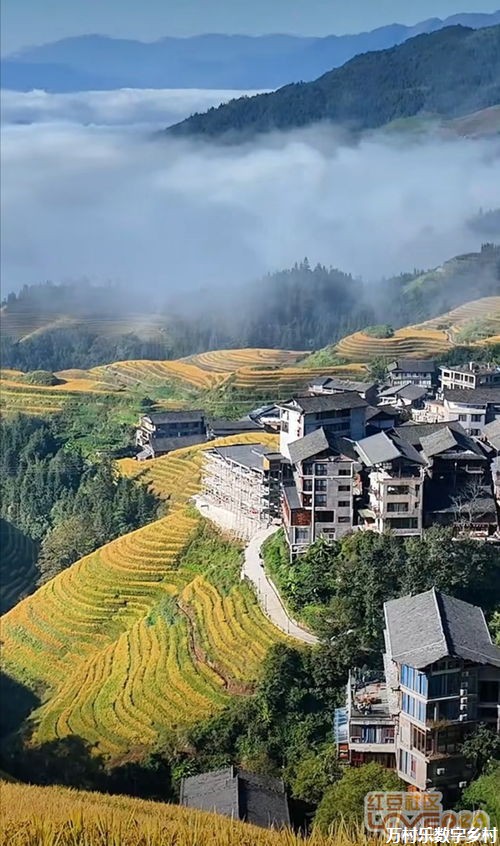 探寻乡村韵律：传统舞蹈的历史演变与地域魅力