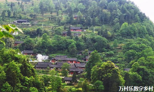 探寻乡村韵律：传统舞蹈的历史演变与地域魅力