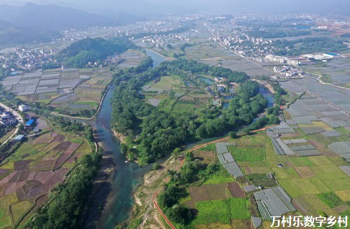 农业振兴之光：乡村农业科研的重要性、进展与未来之路