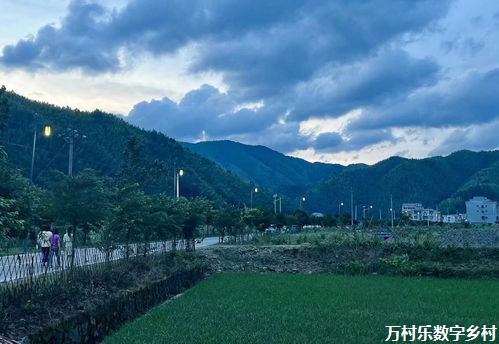 数字治理：乡村振兴的新引擎与治理创新之路