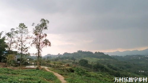 乡村旅游发展：探秘乡间风情，振兴乡村经济之路