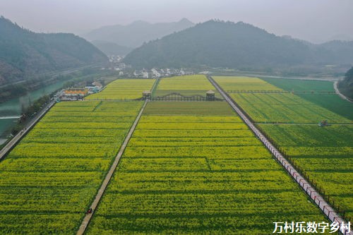 乡村旅游发展：探秘乡间风情，振兴乡村经济之路