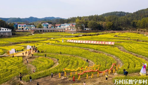 农村土地利用规划：优化乡村发展的新思路