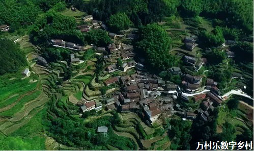 农业企业市场主体：振兴乡村经济的生力军