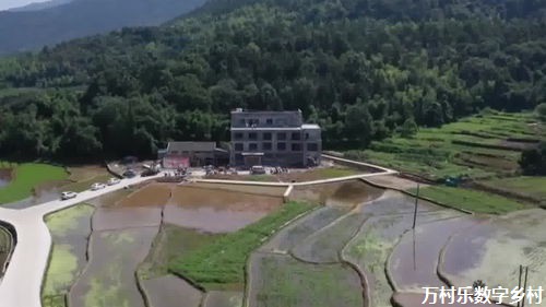 农村医疗卫生体系建设：助力乡村振兴的实践之路