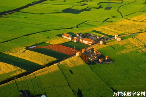 乡村社会保障：助力乡村振兴，构建和谐家园