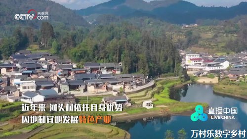城乡融合发展：探索乡村振兴新路径